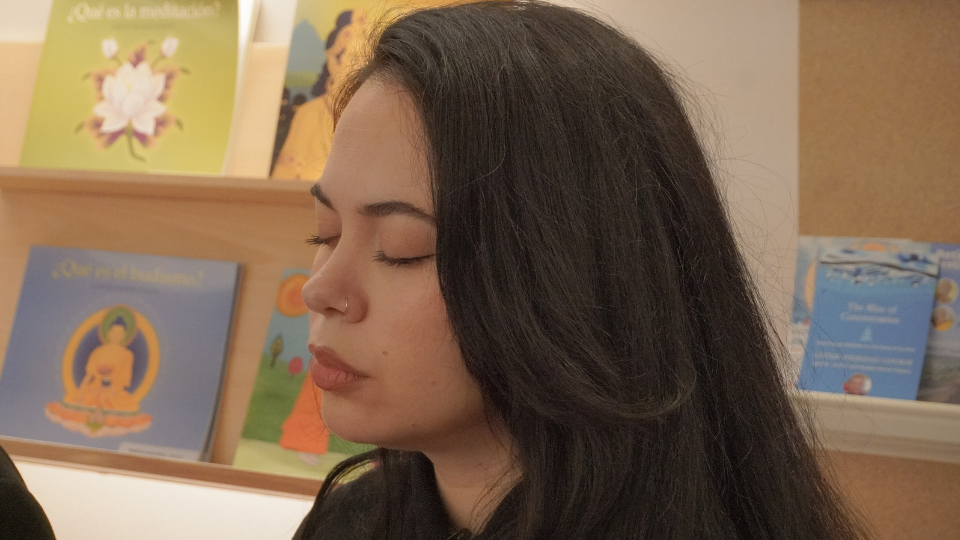 Taller de meditación (junio)