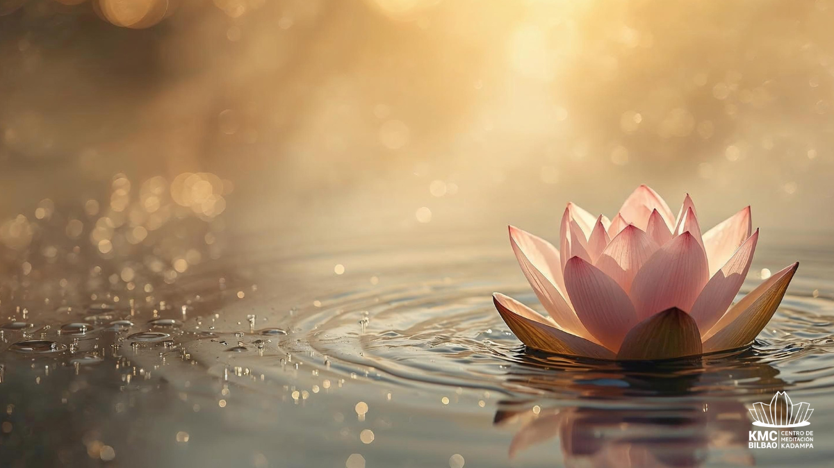 Taller de meditación (abril)