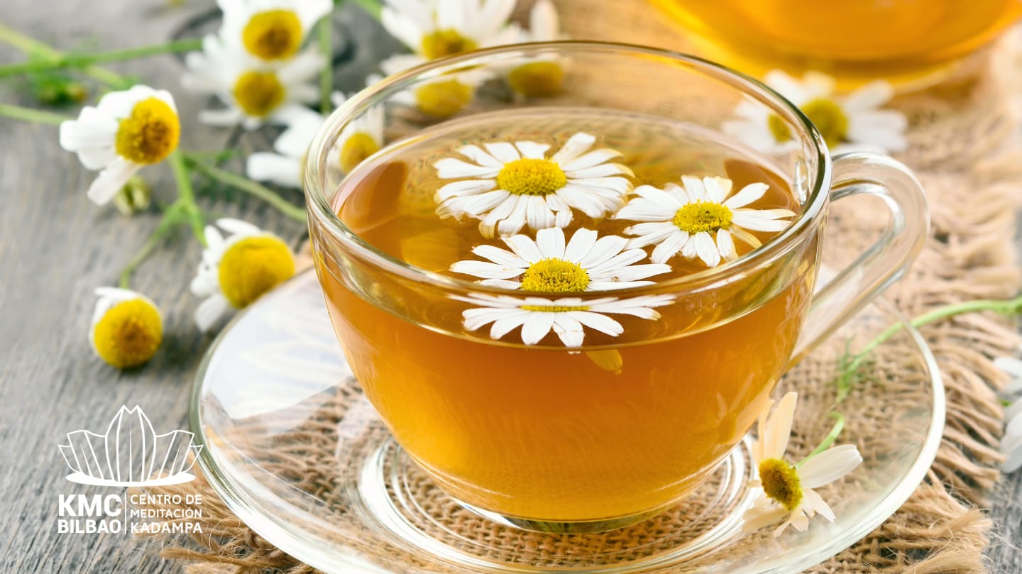 Meditación, té y tertulia (marzo)