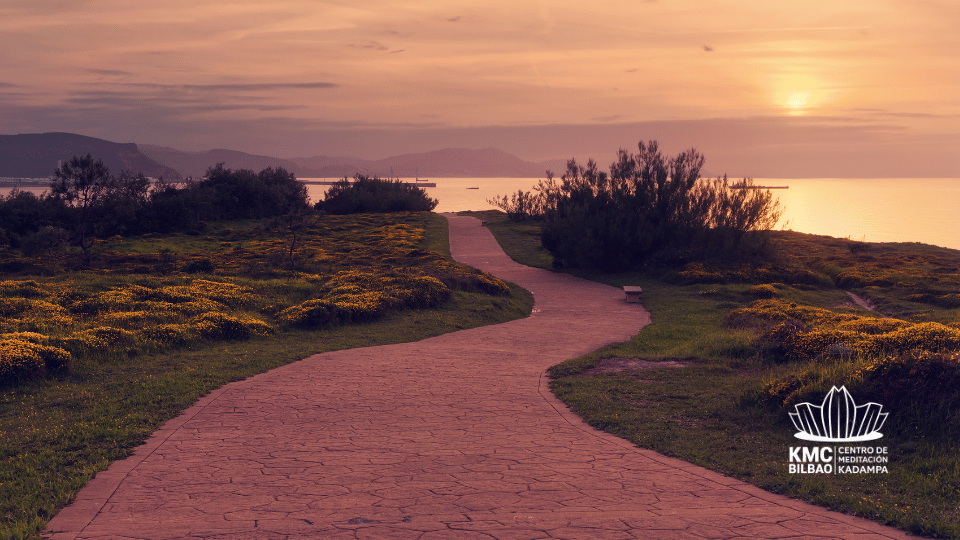 Meditación, caminata en la playa y picnic (septiembre)